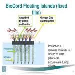 فرآیند طناب بیولوژیکی (BIOCORD)